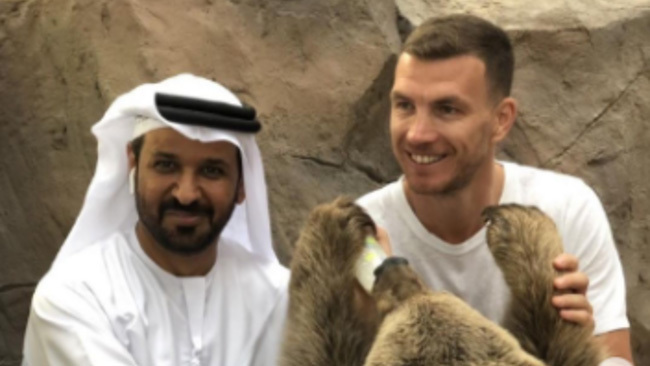 Dzeko
